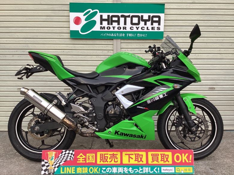 中古 KAWASAKI カワサキ Ninja 250SL 2015 はとや(HATOYA)-スペック詳細