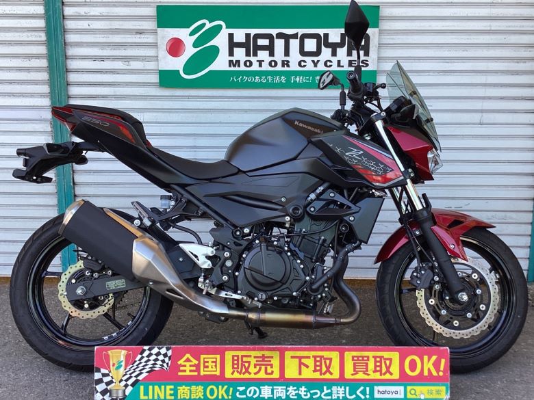 kawasaki Z250（2020年） 純正バイザー