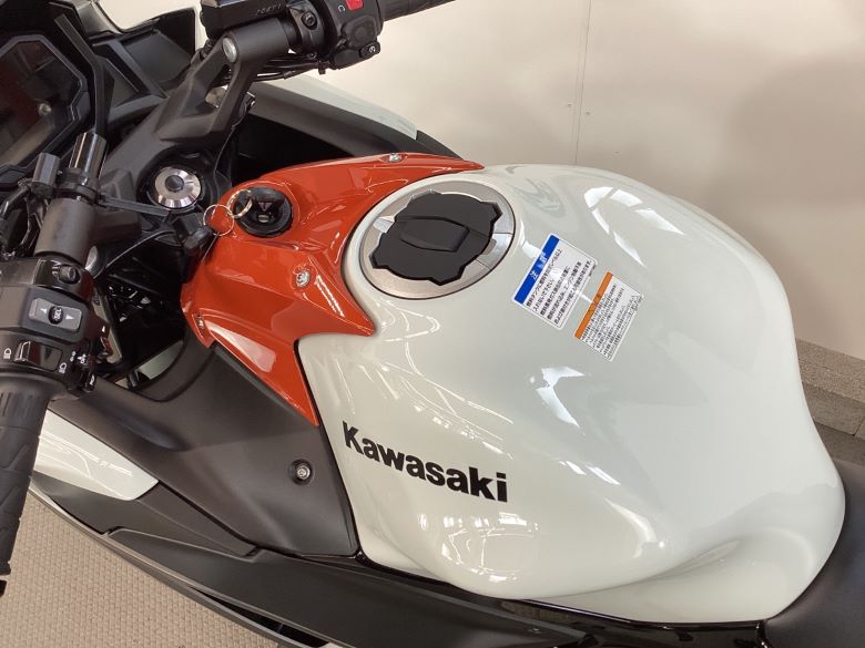 Ｎｉｎｊａ　６５０