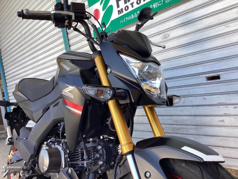 Ｚ１２５ＰＲＯ