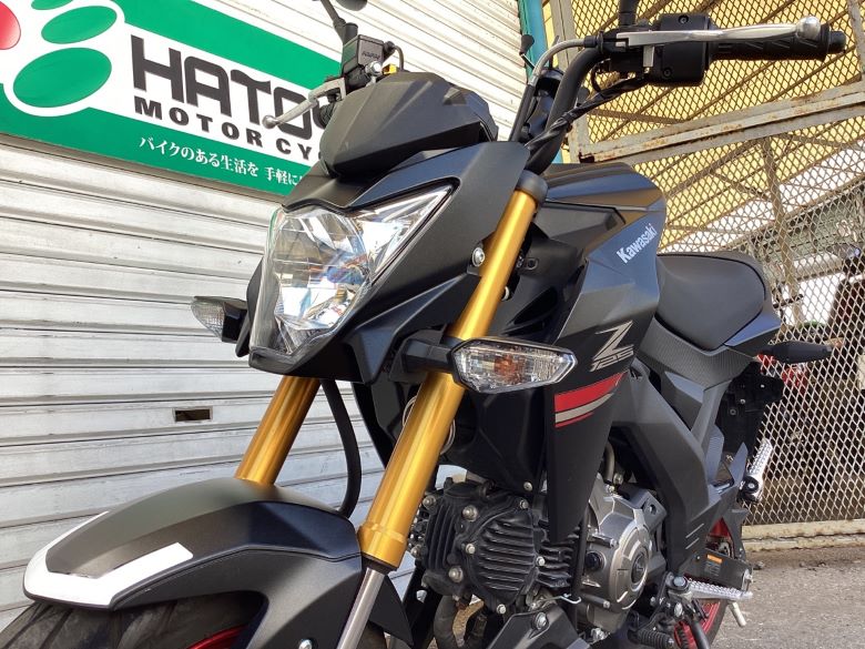 Ｚ１２５ＰＲＯ