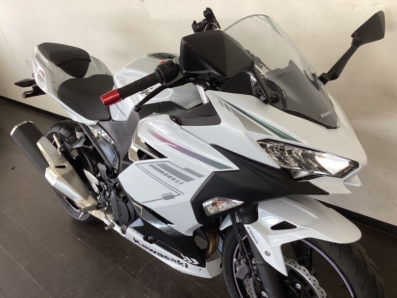 Ｎｉｎｊａ　４００