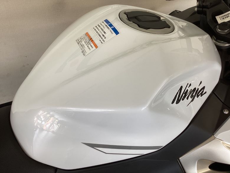 Ｎｉｎｊａ　４００