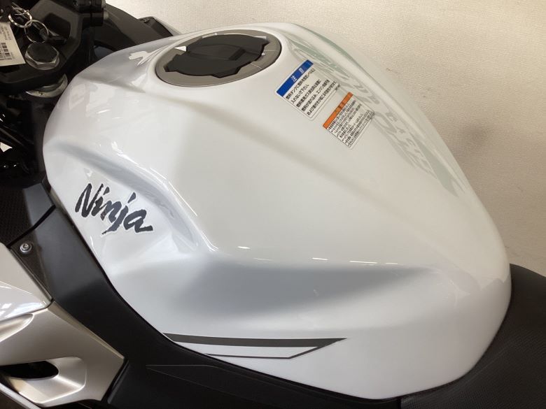 Ｎｉｎｊａ　４００