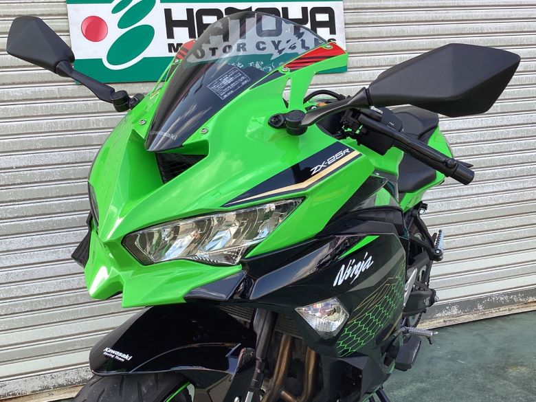 Ｎｉｎｊａ　ＺＸ−２５Ｒ　ＳＥ