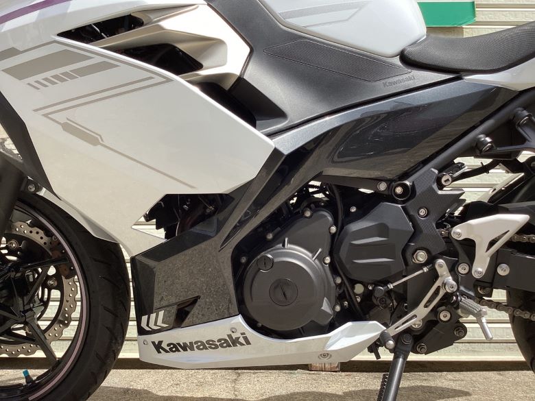 Ｎｉｎｊａ　４００