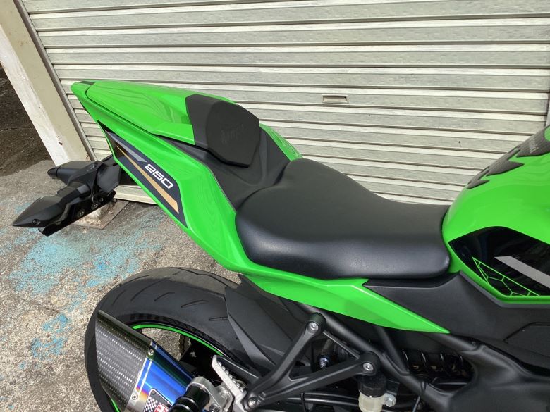 Ｎｉｎｊａ　ＺＸ−２５Ｒ　ＳＥ
