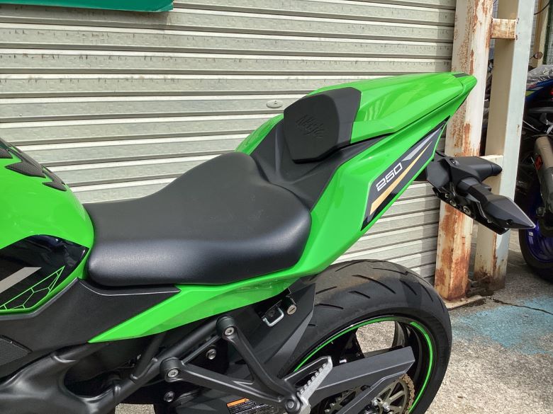 Ｎｉｎｊａ　ＺＸ−２５Ｒ　ＳＥ