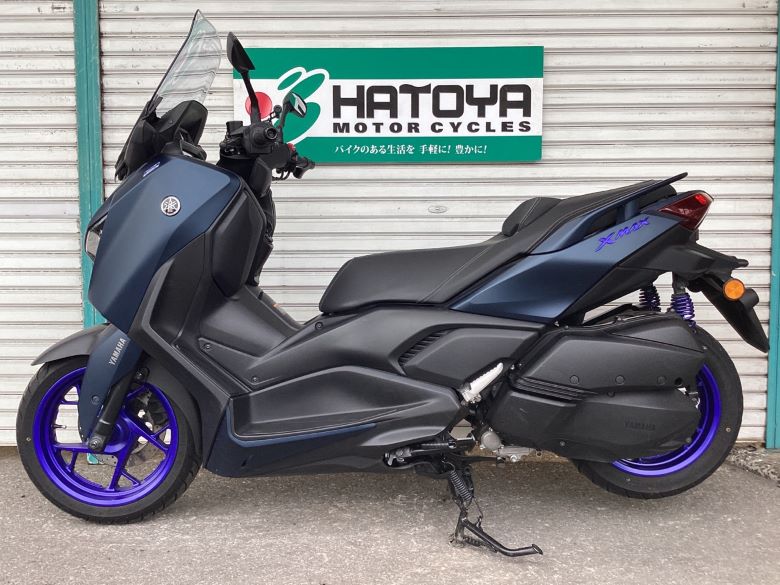 Ｘ−ＭＡＸ２５０