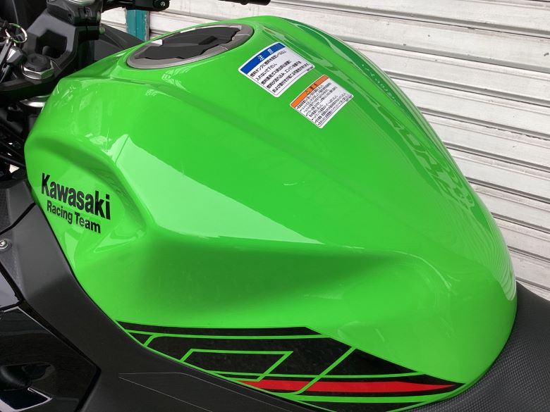 Ｎｉｎｊａ　２５０