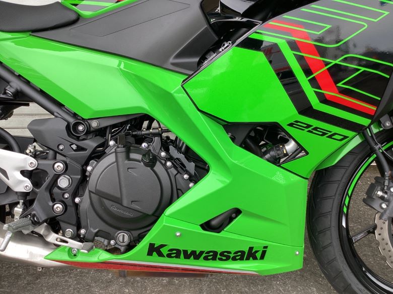 Ｎｉｎｊａ　２５０