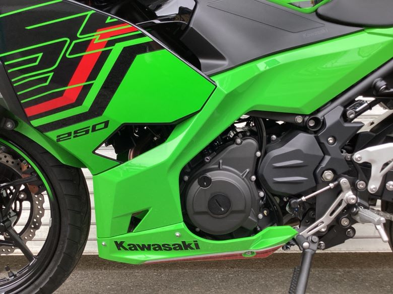 Ｎｉｎｊａ　２５０