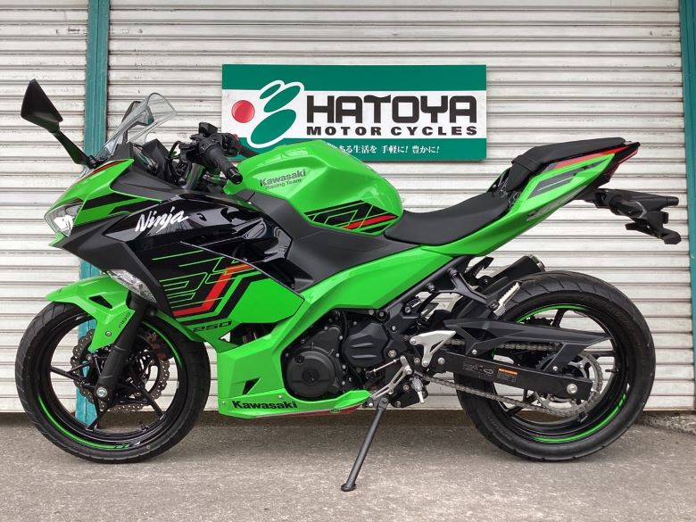 Ｎｉｎｊａ　２５０
