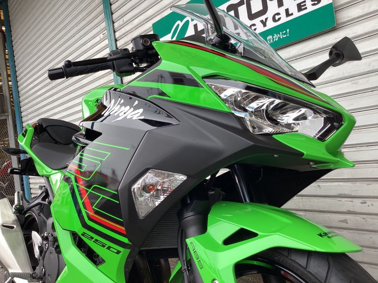 Ｎｉｎｊａ　２５０