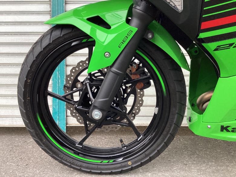 Ｎｉｎｊａ　２５０