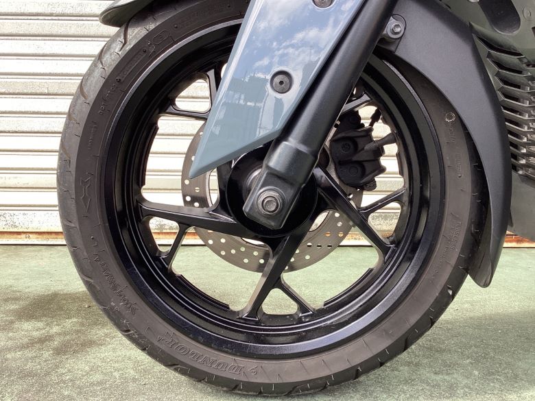 Ｘ−ＭＡＸ２５０