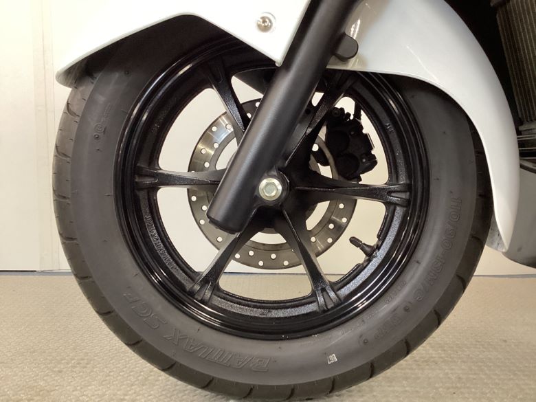 バーグマン２００