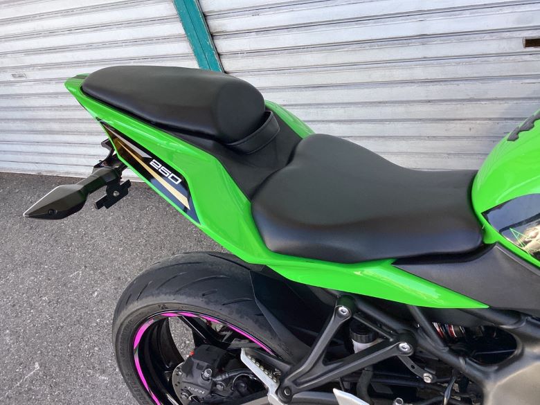 Ｎｉｎｊａ　ＺＸ−２５Ｒ　ＳＥ