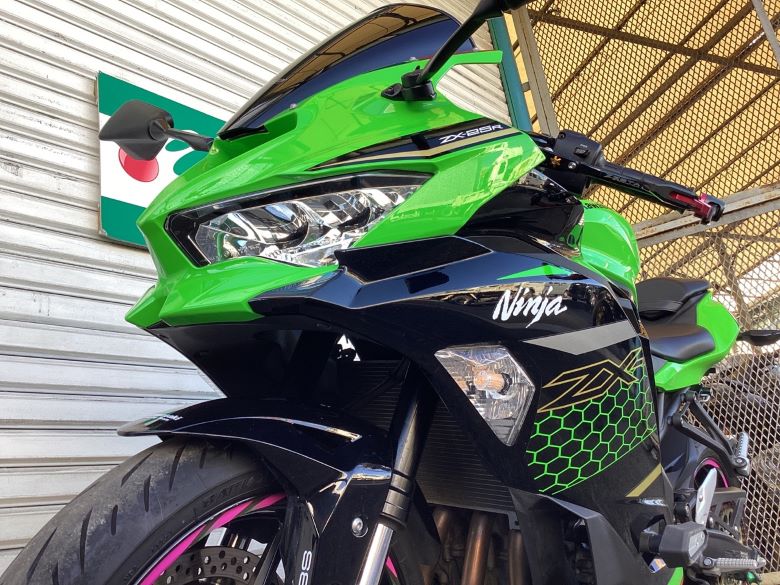 Ｎｉｎｊａ　ＺＸ−２５Ｒ　ＳＥ