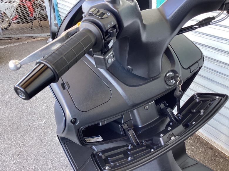 バーグマン２００