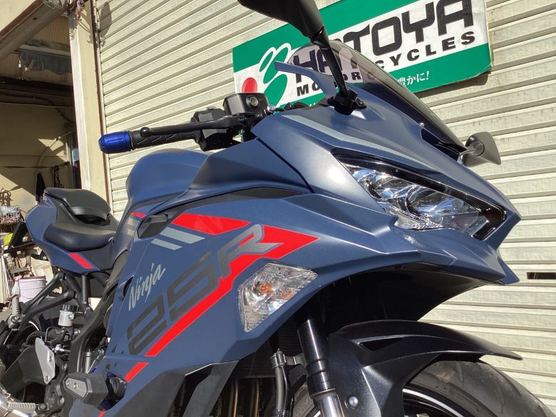 Ｎｉｎｊａ　ＺＸ−２５Ｒ　ＳＥ