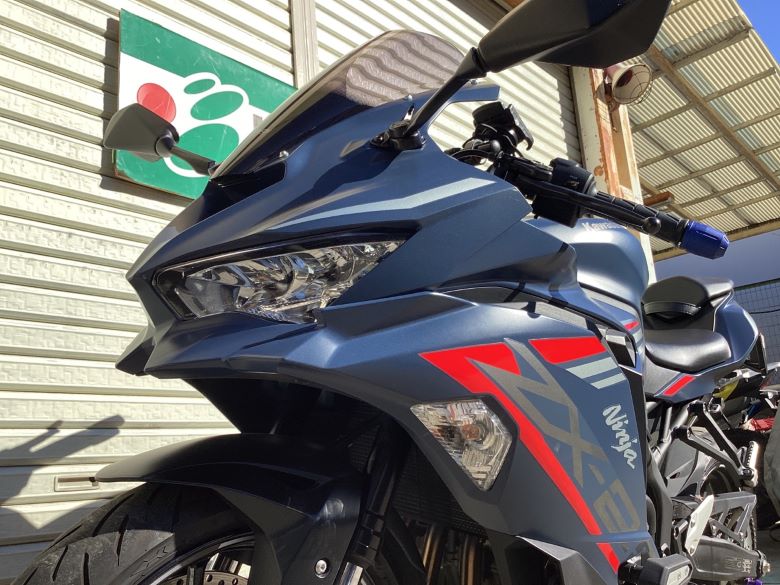 Ｎｉｎｊａ　ＺＸ−２５Ｒ　ＳＥ