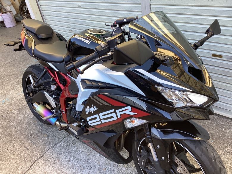 Ｎｉｎｊａ　ＺＸ−２５Ｒ　ＳＥ
