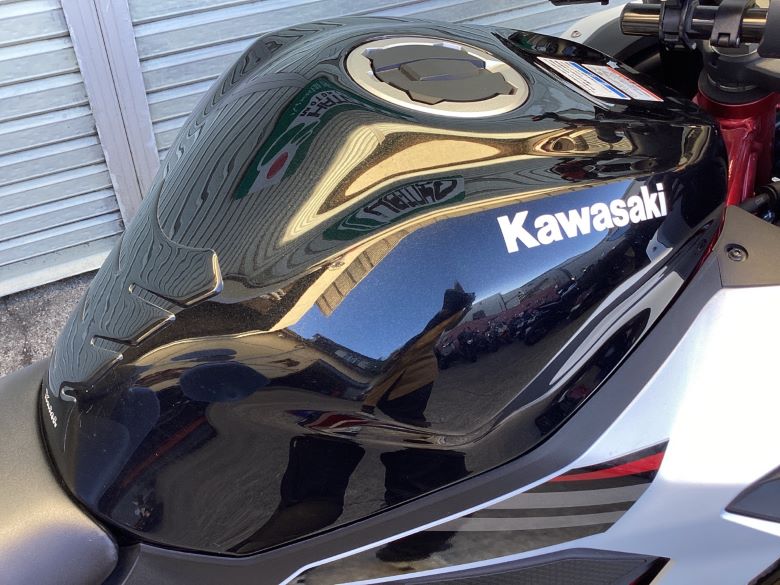 Ｎｉｎｊａ　ＺＸ−２５Ｒ　ＳＥ