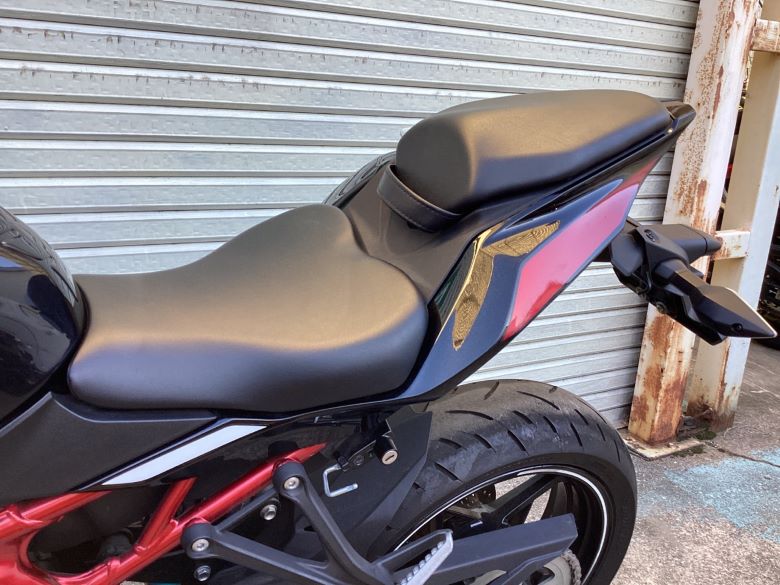 Ｎｉｎｊａ　ＺＸ−２５Ｒ　ＳＥ