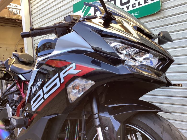 Ｎｉｎｊａ　ＺＸ−２５Ｒ　ＳＥ