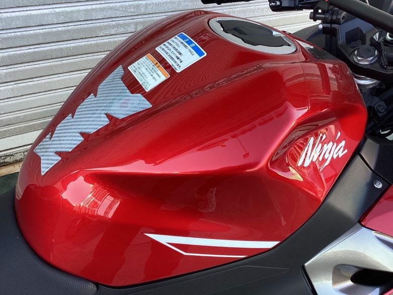 Ｎｉｎｊａ　２５０