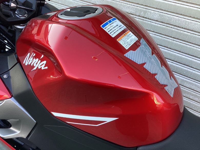 Ｎｉｎｊａ　２５０