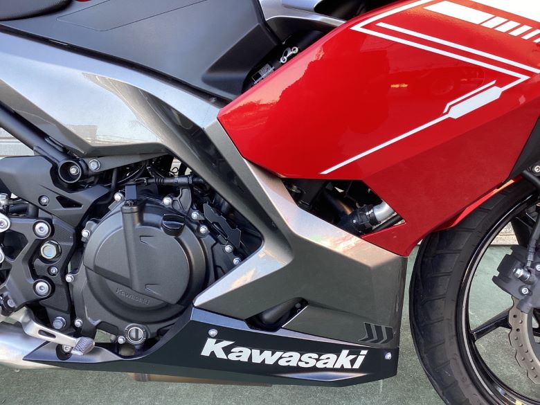 Ｎｉｎｊａ　２５０