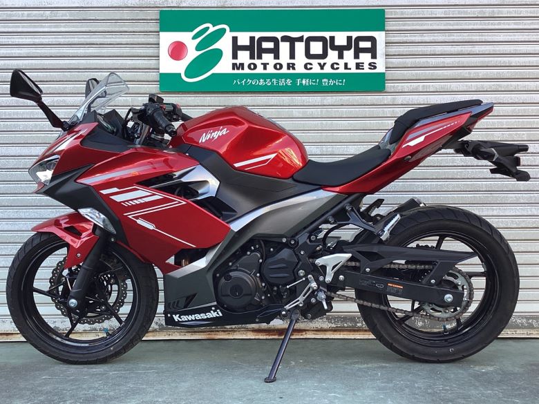 Ｎｉｎｊａ　２５０