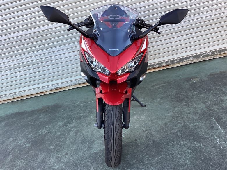 Ｎｉｎｊａ　２５０