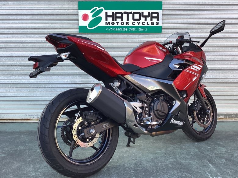 Ｎｉｎｊａ　２５０