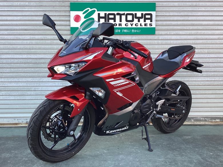 Ｎｉｎｊａ　２５０