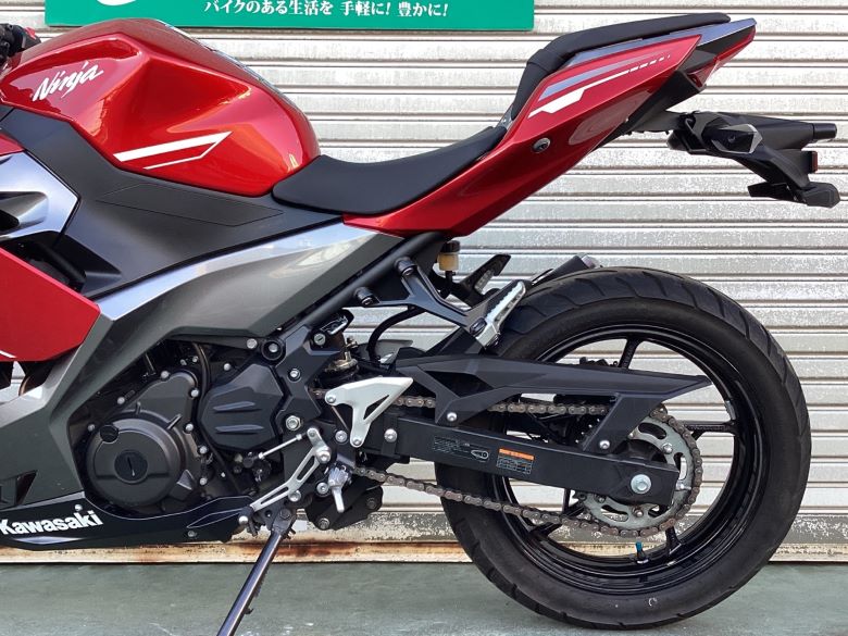 Ｎｉｎｊａ　２５０