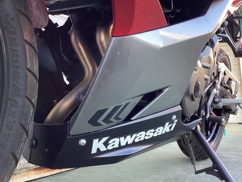 Ｎｉｎｊａ　２５０