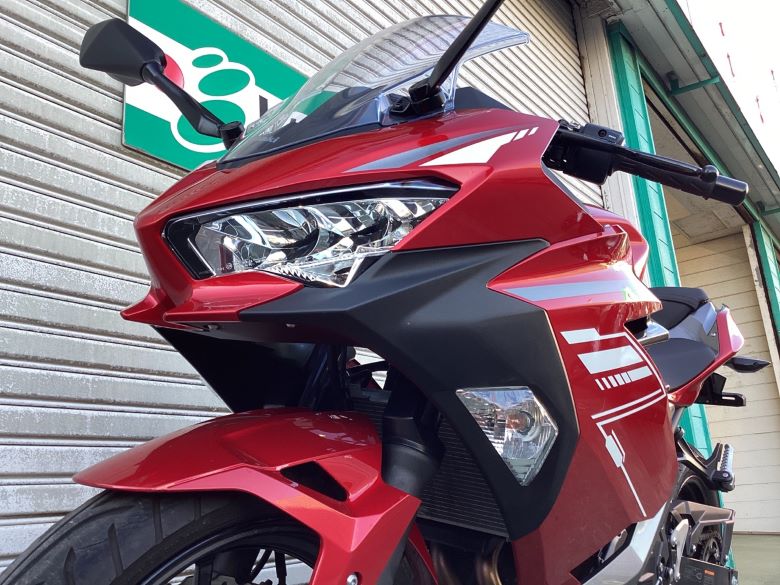 Ｎｉｎｊａ　２５０