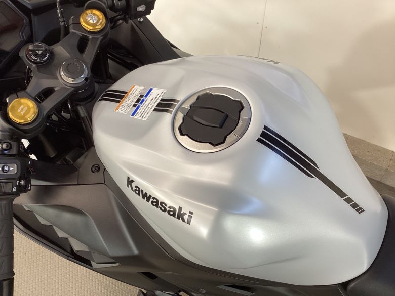 Ｎｉｎｊａ　ＺＸ−４Ｒ　ＳＥ