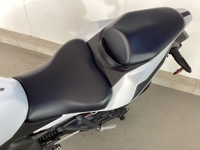 Ｎｉｎｊａ　ＺＸ−４Ｒ　ＳＥ