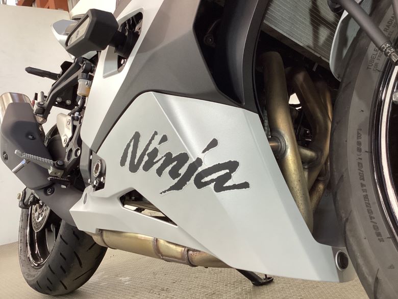 Ｎｉｎｊａ　ＺＸ−４Ｒ　ＳＥ