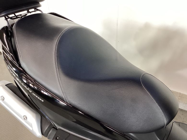 バーグマン２００