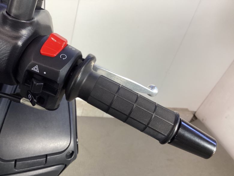 バーグマン２００