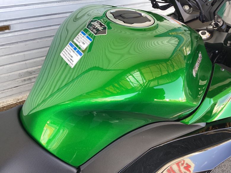 Ｎｉｎｊａ　１１００　ＳＸ　ＳＥ