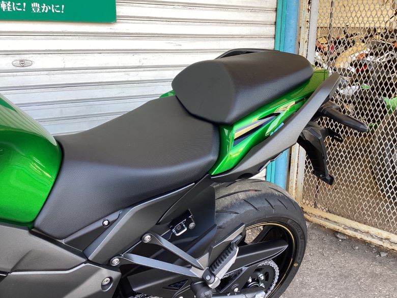 Ｎｉｎｊａ　１１００　ＳＸ　ＳＥ