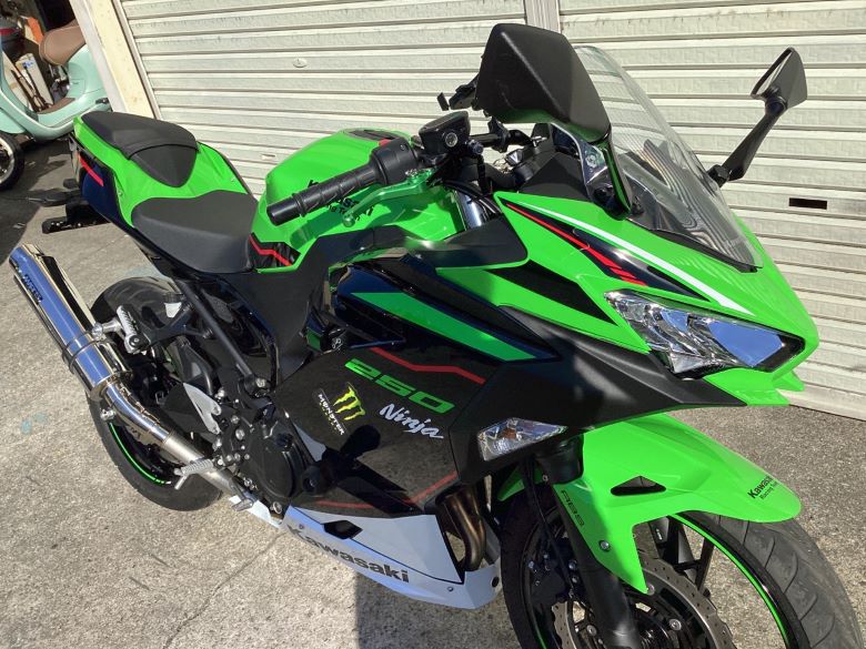 Ｎｉｎｊａ　２５０