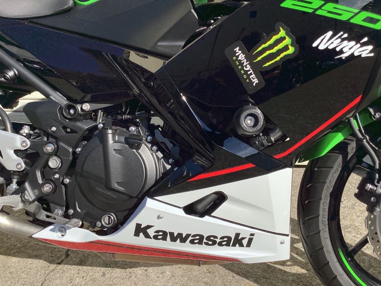 Ｎｉｎｊａ　２５０