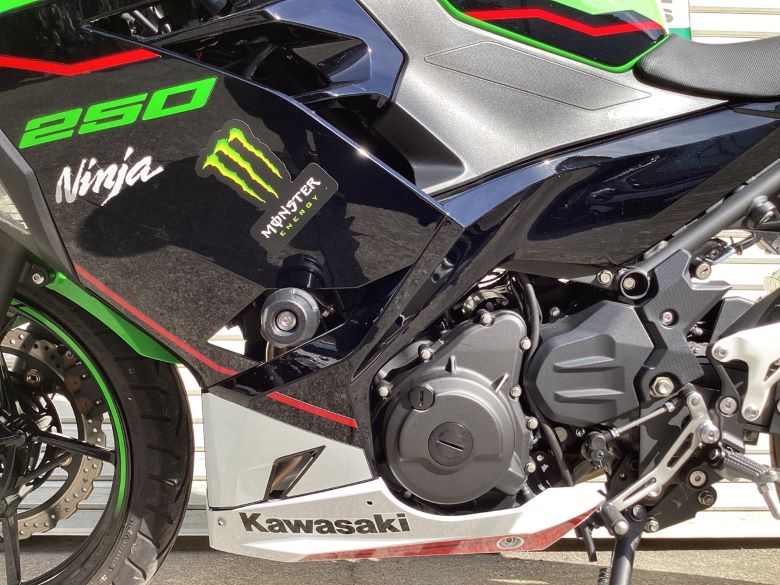 Ｎｉｎｊａ　２５０